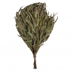 Веник эвкалиптовый Банные штучки 03691