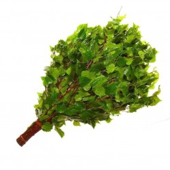 Березовый веник