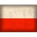 Печь камин Kratki Koza K6 (130) PW W